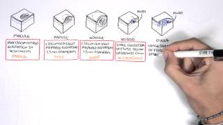 Dermatology  Lesion Terminology [upl. by Enneira]