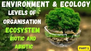 Levels of Organisation in Ecology ECOSYSTEM Components of ECOSYSTEM part1class12 NEETUPSC CSE [upl. by Nonnahc]