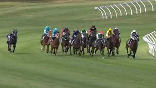 2024 WRC TRENTHAM Telegraph Handicap [upl. by Ecirtal]