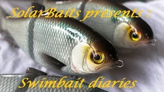 swimbait chronicles how I made a gizzard shad glide bait [upl. by Aydne]