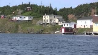 Herring Neck Notre Dame Bay Newfoundland [upl. by Elvis448]