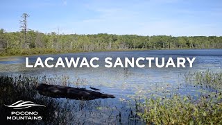 Lacawac Sanctuary  Pocono Mountains [upl. by Darlleen796]