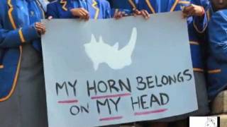 All in for Rhinos World Rhino Day 2011 Highlights [upl. by Alul740]