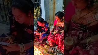 Dwadasi pooja karthikamasamdwadashi shortvideosviralvideos [upl. by Enaxor245]