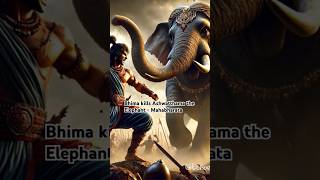 Bhima kills Ashwatthama the Elephant  Mahabharata ashwathama bhima dronacharya [upl. by Acinnod]