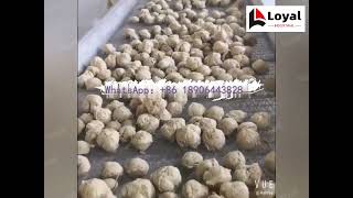 How to make soy nuggets Latest low price new technology soybean protein extrusion production line [upl. by Mavilia]