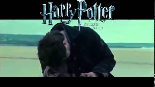 Harry Potter and Deathly Hallows Part 1 Dobbys Death Czech [upl. by Dis]