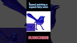 Speedpainting a Superb fairy wren speedpaint art drawing ibispaintx birds australianbirds [upl. by Nesrac]