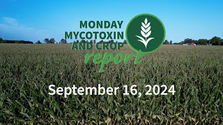 Monday Mycotoxin and Crop Report for September 16 2024 [upl. by Berry]