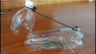 Mouse trap with Plastic Water bottle  Mouse RAT TRAP [upl. by Nnylrefinnej]