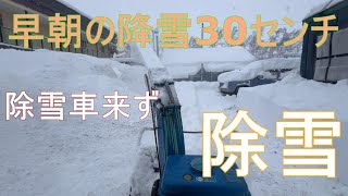 北海道除雪 早朝30センチ降雪 除雪車が来ない日の除雪 [upl. by Nyltiac]