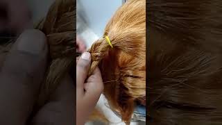 Latest stylish ponytail  Beautiful hairstyle for fastival shortvideo trendingshorts 💯💯 [upl. by Judd]