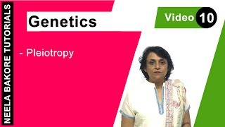 Genetics  Principles of Inheritance amp Variations  Pleiotropy  NEET  Neela Bakore Tutorials [upl. by Fesuoy]