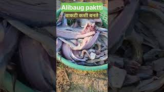 Dry Fish Market 🐠 Alibag pakatti youtubeshorts fishmarket shorts [upl. by Haisa]