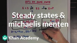 Steady states and the Michaelis Menten equation  Biomolecules  MCAT  Khan Academy [upl. by Vetter485]