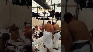 start Hajj hajji in mina live today video in Makkah mukarma hajj2024update [upl. by Ximena]