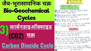 Carbon dioxide Cycle।।कार्बनडाइऑक्ससड चक्र ।। Carbon cycle in hindi ।। कार्बन चक्र botanyadda [upl. by Enileqcaj]