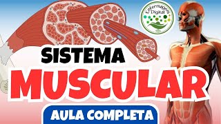 SISTEMA MUSCULAR  AULA COMPLETA  ENFERMAGEM DIGITAL [upl. by Netsua]