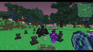 Minecraft RAD coin infusion avec rune magique de protection [upl. by Nolahs951]