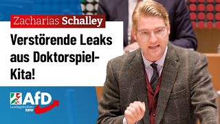 Verstörende Leaks aus DoktorspielKita – Zacharias Schalley AfD [upl. by Annert432]