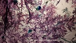 José González  With the Ink of a Ghost Lyric Video [upl. by Niroc883]