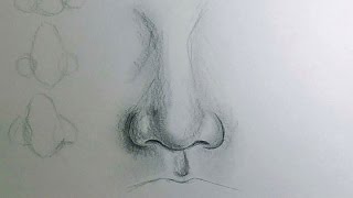 How to Draw a Nose [upl. by Celinka]