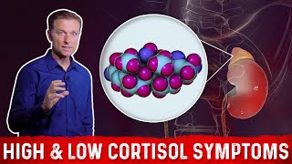 Low vs High Cortisol Levels Symptoms Explained By DrBerg [upl. by Alithea]