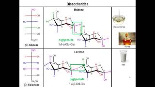 Lec10  Disaccharides and Polysaccharides [upl. by Kaine]