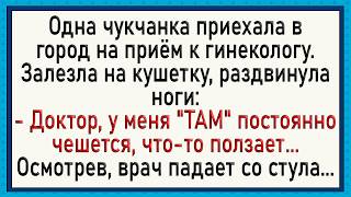 Даже врач ОФИГЕЛ от такого Сборник свежих анекдотов [upl. by Ennaeus]