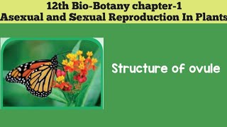 12th biobotany chapter1 Asexual And Sexual Reproduction In Plants STRUCTURE OF OVULE [upl. by Nylirahs]