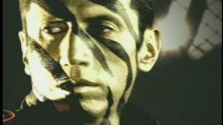 Aterciopelados  Hijos de Tigre Official Music Video [upl. by Oiromed783]