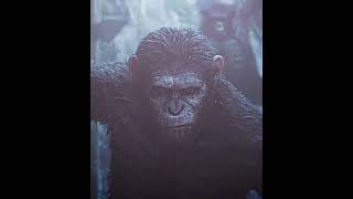 CAESAR APES EDIT  IF MUST  DAWN OF THE PLANET OF THE APES 2014 dawnoftheplanetoftheapes [upl. by Vassar413]