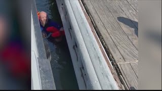 Man falls off of ramp to Daufuskie Island ferry [upl. by Nahraf771]