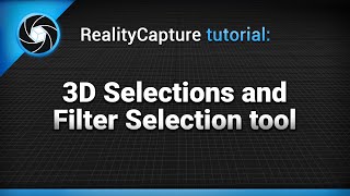 RealityCapture tutorial 3D Selections and Filter Selection tool [upl. by Bridgid770]