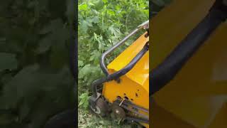 Weeding and grasscutting machine viralvideo decoration grass tools foryou [upl. by Kaja]