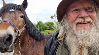 Milltown Horse Fair Kerry 28 April 2024 [upl. by Notfilc]