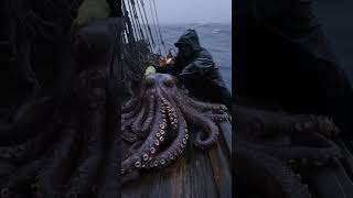 Giant Sea Monster Captured fishingdiscoveries oceanicmysteries octopus shortvideo [upl. by Issi995]