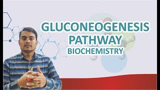 GLUCONEOGENESIS PATHWAY BIOCHEMISTRY [upl. by Latreese]