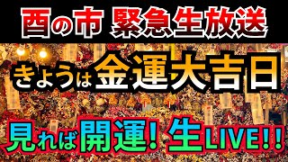 ⚠️緊急生放送【酉の市】超金運開運日！神社からエネルギーを生ライブします [upl. by Kataway]