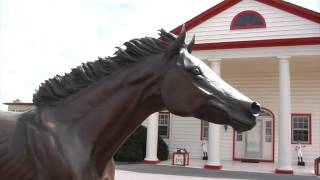 Keeneland Close Up At Ramsey Farm [upl. by Crofoot]