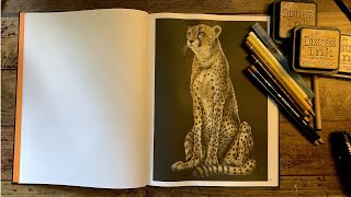 Adult Coloring  Intricate Ink Animals in Detail Cheetah [upl. by Arluene738]