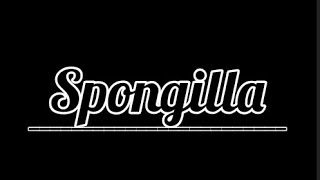 Spongilla  Classification of spongilla  General characters of Spongilla  Diagram [upl. by Ettennaej]