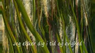 KarlMagnus Fredriksson sings Jeg elsker dig  I love you [upl. by Eimak]