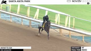 Work of the Day at Santa Anita Park Anisette worked 4 Furlongs in 4960 on November 25th 2023 [upl. by Whitney]