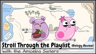 Stroll Through the Playlist a Biology Review [upl. by Eilrebmik]