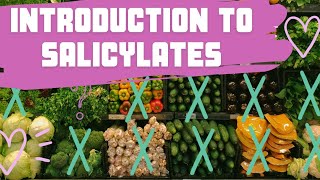 What are salicylates and why do people avoid them [upl. by Albertson]