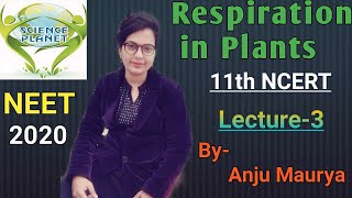 NCERT Revision Respiration in Plants NEET 2020 Lecture 3 ByAnju Maurya [upl. by Yraeg]