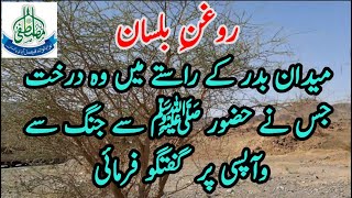 Maqam e Badar  Roghan Bil Lisan  Famous Tree  Madina Live [upl. by Reinwald75]