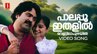 Palapoo Ithalil Video Song  Thirakkatha  Priyamani  Anoop Menon  Shweta Mohan  KK Nishad [upl. by Deana]