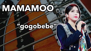 MAMAMOO마마무  gogobebe Rock Version Bass Cover [upl. by Veda]